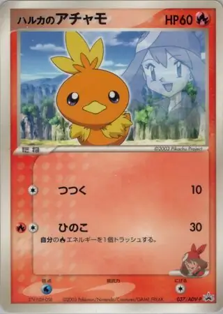 May's Torchic Pokemon card from ADV-P Promos