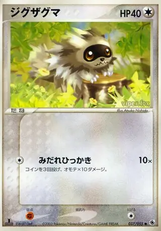 Zigzagoon Pokemon card from ADV Expansion Pack