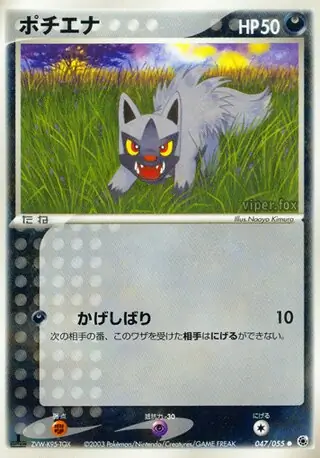 Poochyena Pokemon card from ADV Expansion Pack