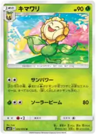 Sunflora Pokemon card from Alter Genesis