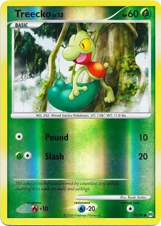 Treecko Reverse Holo Pokemon card from Arceus