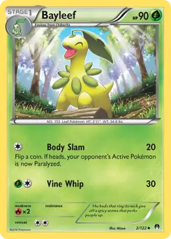 Bayleef Pokemon card from BREAKpoint