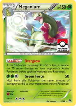 Meganium Holo