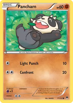 Pancham Pokemon card from BREAKpoint