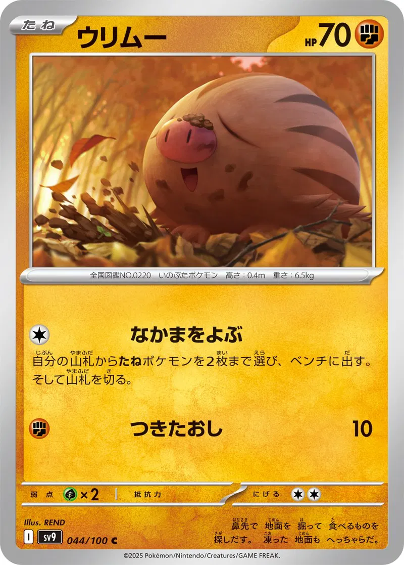 Swinub Pokemon card from Battle Partners