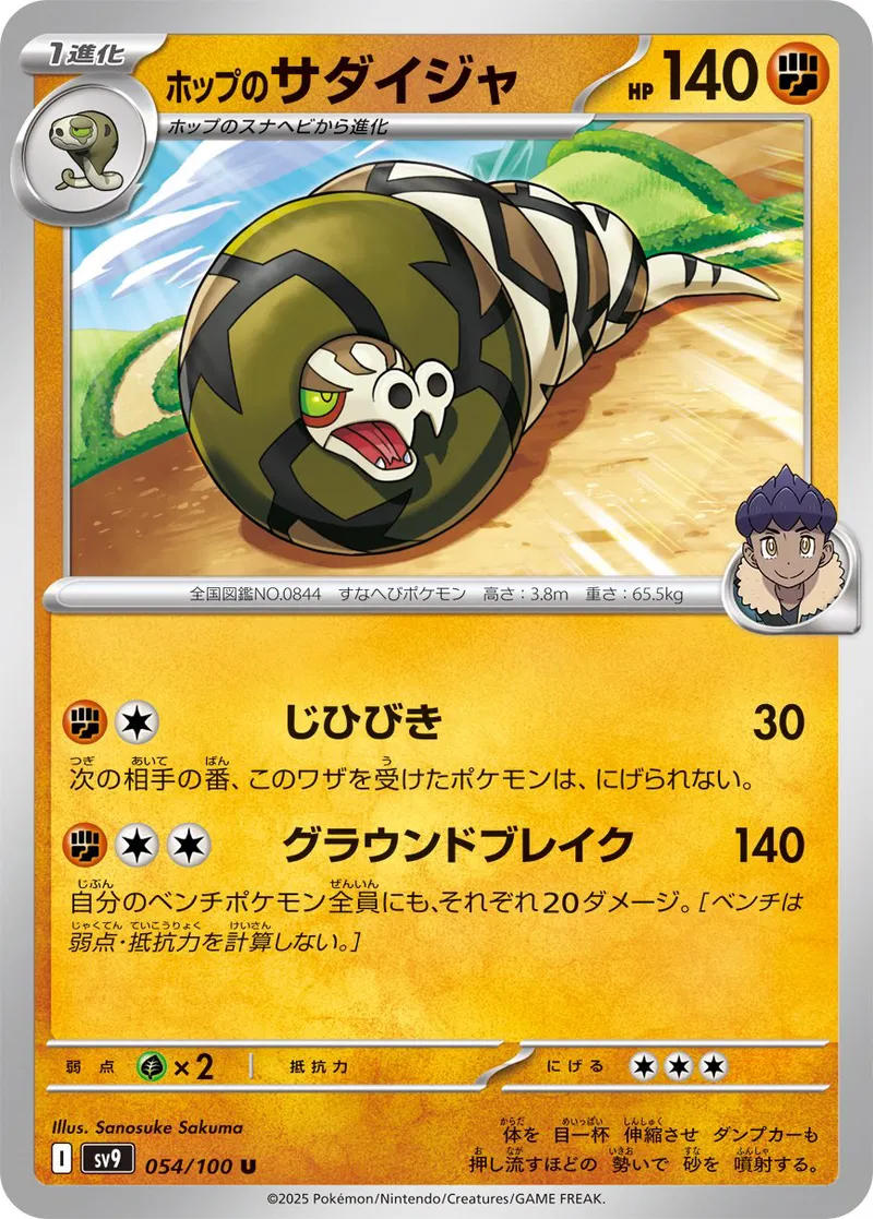 Hop's Sandaconda Pokemon card from Battle Partners