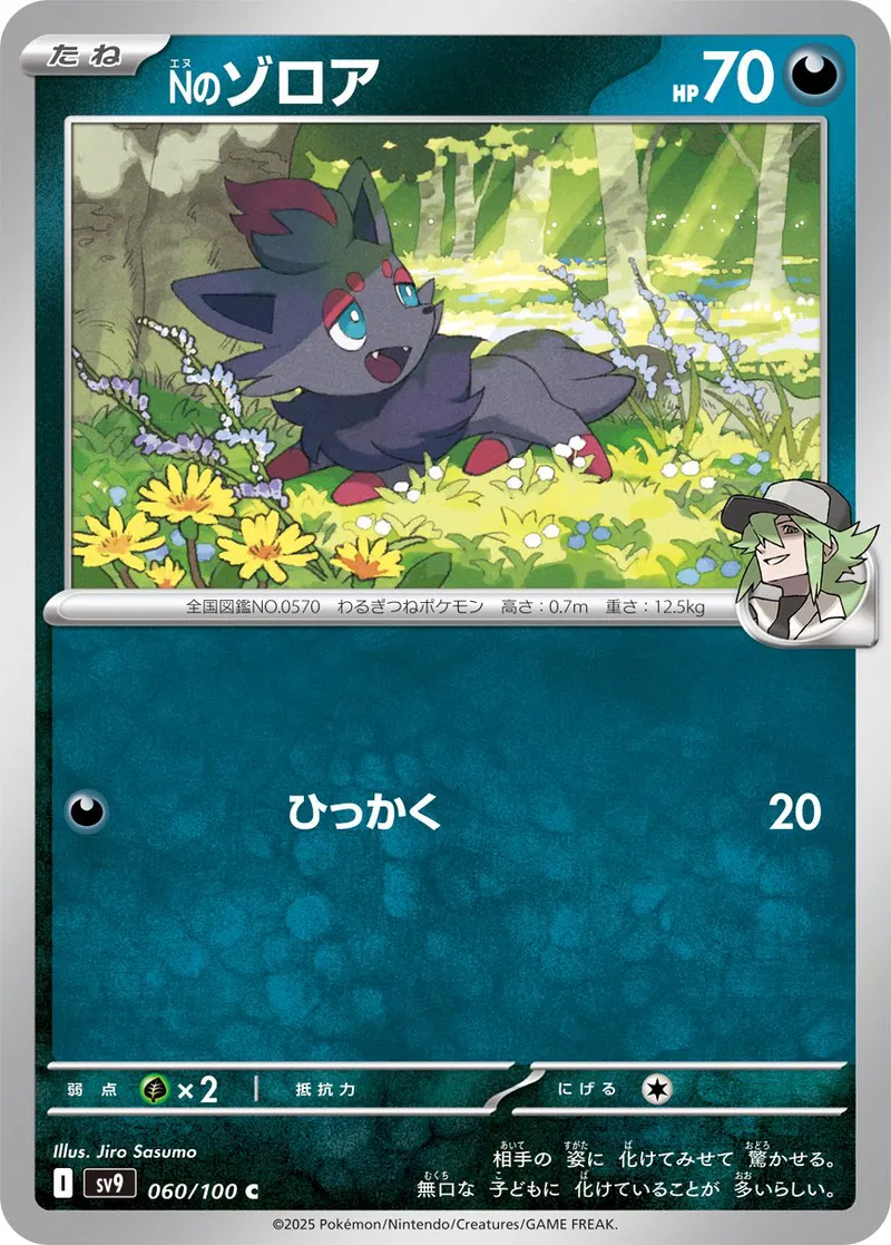 N's Zorua Pokemon card from Battle Partners