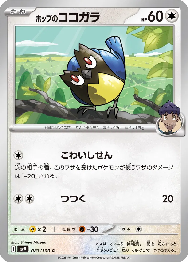 Hop's Rookidee Pokemon card from Battle Partners