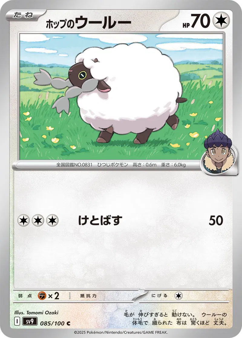 Hop's Wooloo Pokemon card from Battle Partners
