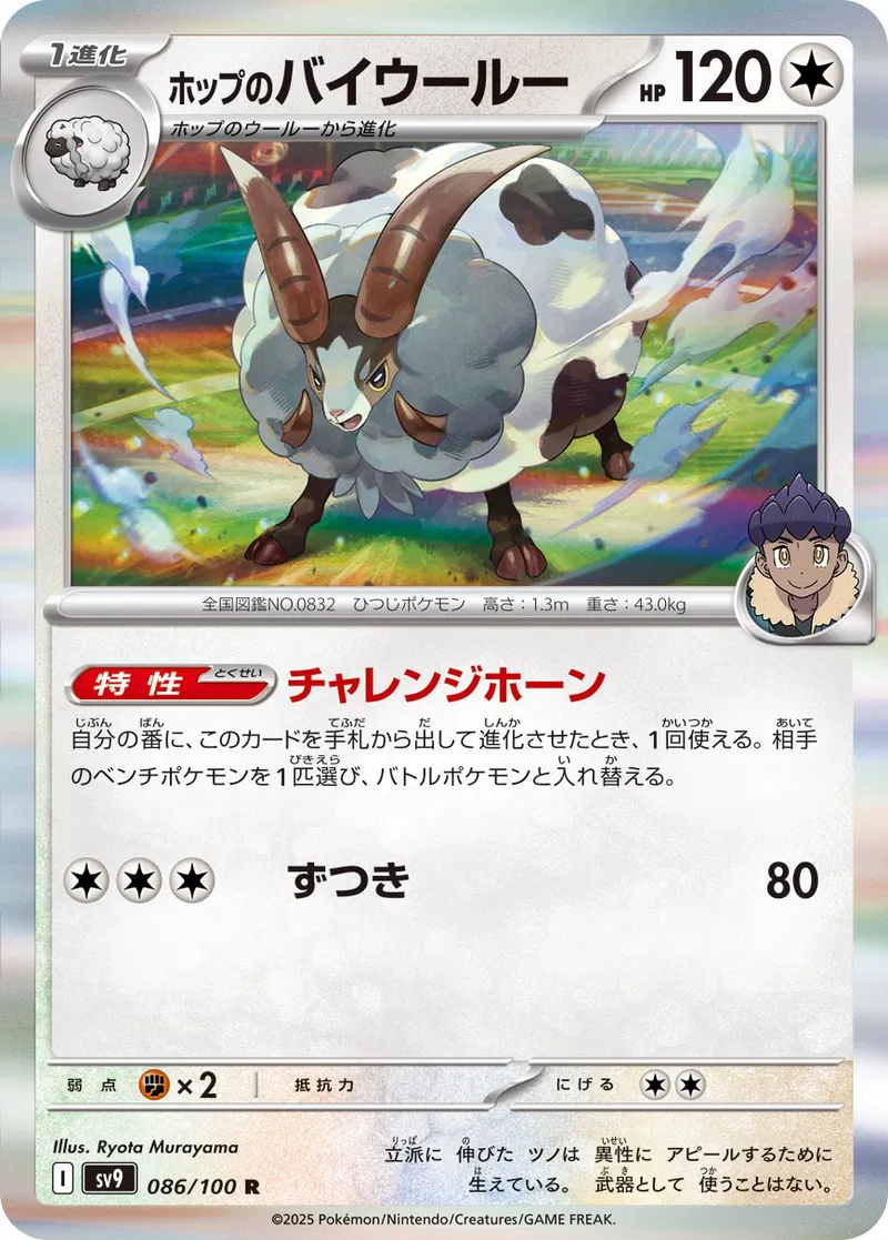 Hop's Dubwool Pokemon card from Battle Partners
