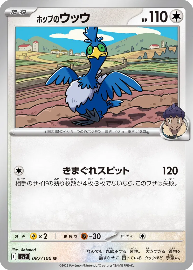 Hop's Cramorant Pokemon card from Battle Partners
