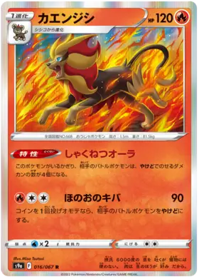 Pyroar Pokemon card from Battle Region