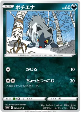 Poochyena Pokemon card from Battle Region