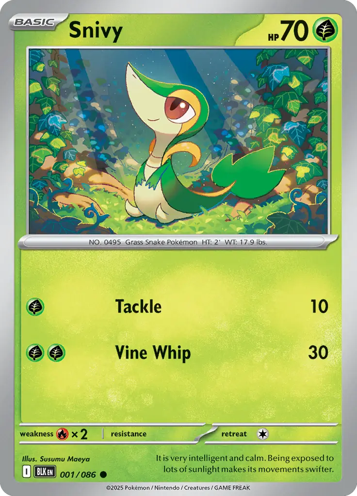 Snivy Pokemon card from Black Bolt