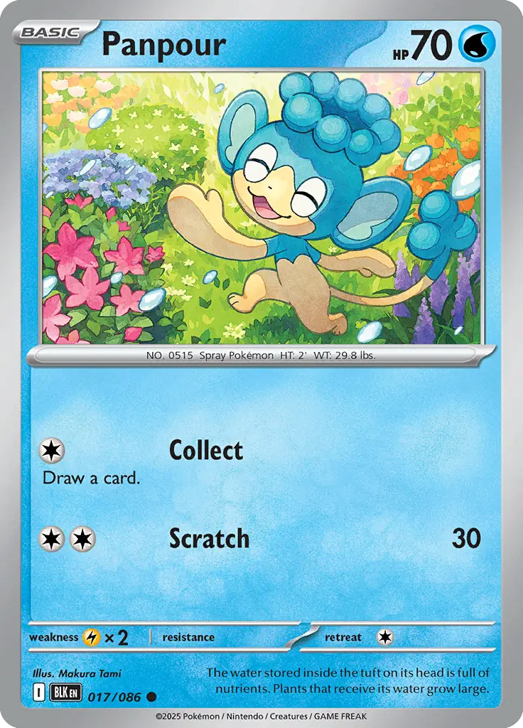 Panpour Pokemon card from Black Bolt