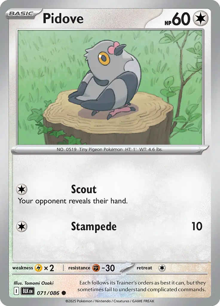 Pidove Pokemon card from Black Bolt