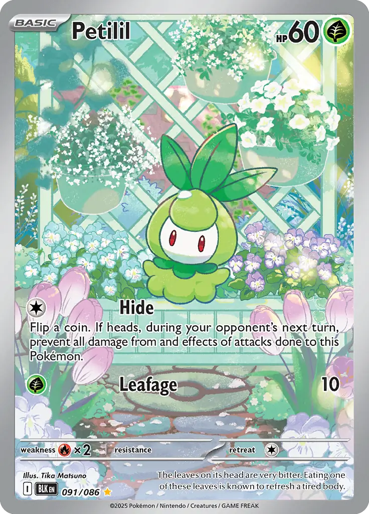 Petilil Pokemon card from Black Bolt