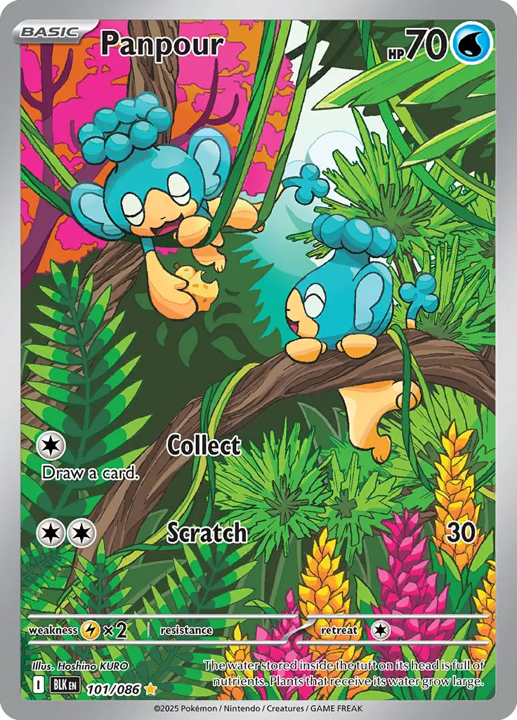 Panpour Pokemon card from Black Bolt