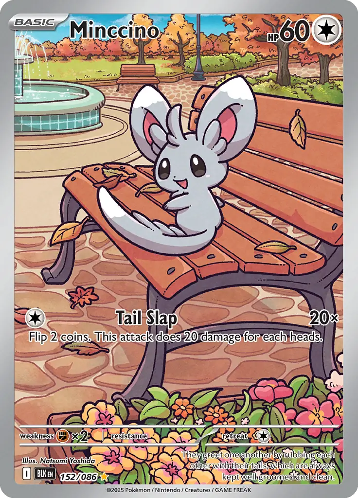 Minccino Pokemon card from Black Bolt