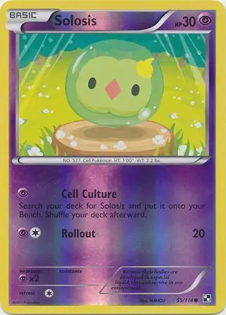 Solosis Reverse Holo