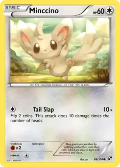 Minccino Pokemon card from Black and White