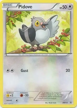 Pidove Pokemon card from Black and White Promos
