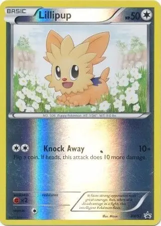 Lillipup Pokemon card from Black and White Promos