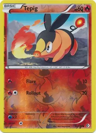 Tepig Reverse Holo Pokemon card from Boundaries Crossed