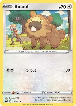 Bidoof Pokemon card from Brilliant Stars