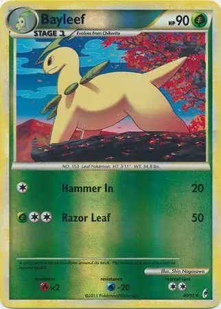 Bayleef Reverse Holo