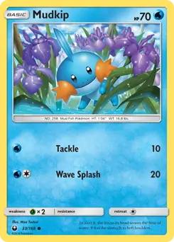 Mudkip Pokemon card from Celestial Storm