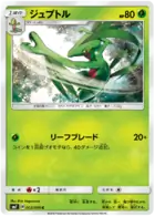 Grovyle Pokemon card from Charisma of the Cracked Sky