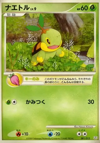 Turtwig Pokemon card from Collection Pack (Regigigas LV.X)
