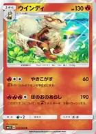 Arcanine Pokemon card from Collection Sun
