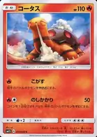 Torkoal Pokemon card from Collection Sun