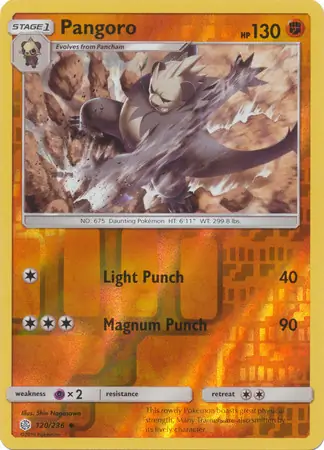 Pangoro Reverse Holo