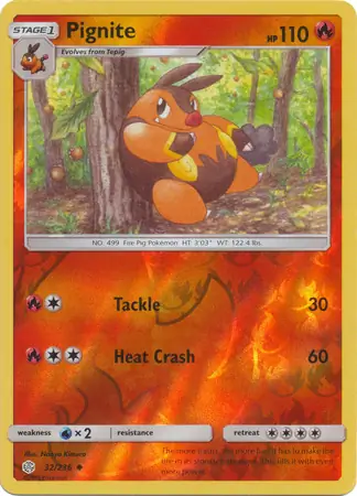 Pignite Reverse Holo