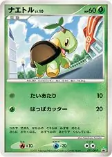 Turtwig Pokemon card from DP-P Promos
