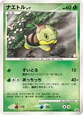 Turtwig Pokemon card from DP-P Promos