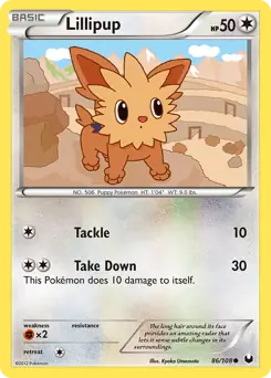 Lillipup Pokemon card from Dark Explorers