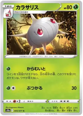 Silcoon Pokemon card from Dark Phantasma