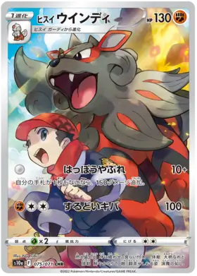 Hisuian Arcanine Pokemon card from Dark Phantasma