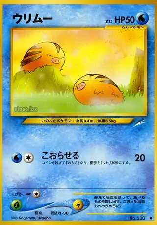 Swinub Pokemon card from Darkness, and to Light...