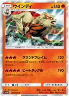 Arcanine Pokemon card from Double Blaze