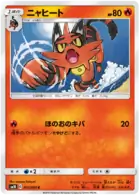 Torracat Pokemon card from Double Blaze