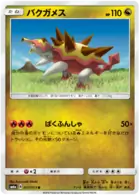 Turtonator Pokemon card from Dragon Storm