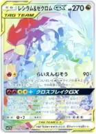 Reshiram & Zekrom GX Pokemon card from Dream League
