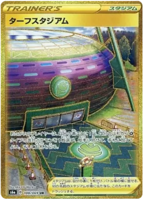 Turffield Gym Pokemon card from Eevee Heroes
