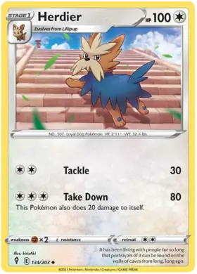Herdier Pokemon card from Evolving Skies