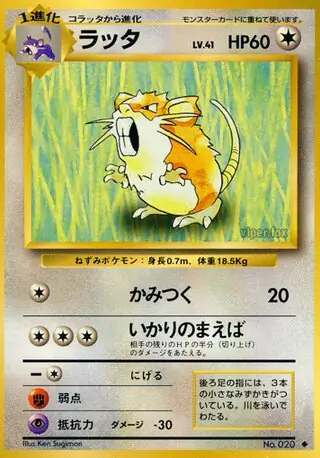Raticate Pokemon card from Expansion Pack